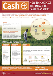 Cash+ How to Maximize the Impact of Cash Transfers